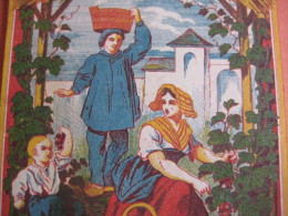 1  XIX Ième Etiquette LITHO CASSIS FIN, LA RECOLTE EN JARDIN , LA CEUILLETTE - IMPRIMERIE G. NISSOU - Alcools & Spiritueux