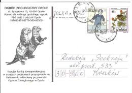 Poland 1998 Fauna Rodent Rodents Opole Zoo Animal Animals - Nager