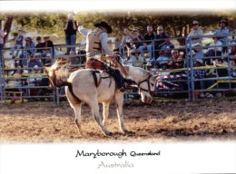 (314) Australia - QLD - Maryborough Rodeo - Outback
