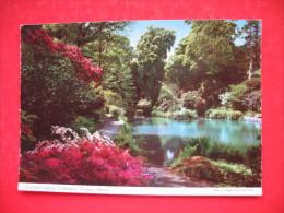 Pond And Gardens,Cockington,Torquay - Torquay