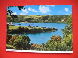The Helford Estuary - Other & Unclassified