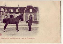 Nonant Le Pin  61     Le  Haras  Etalon: Cherbourg - Autres & Non Classés