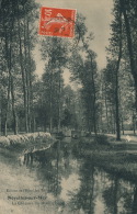 NOYELLES SUR MER - La Chaussée Du Moulin (moutons) - Noyelles-sur-Mer