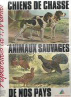 Chasse Chiens De Chasse Et Animaux Sauvages De Nos Pays‎ De Vial-Andru Mauricette Et Aquarelles De P. Mahler - Fischen + Jagen