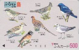 Carte Japon OISEAU Oiseaux - Alouette Faisan Pigeon Bouscarle Mouette Bruant Gobemouche Japan BIRD Card - Vogel - 2212 - Zangvogels