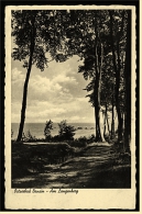 Ostseebad Bansin  -  Am Langenberg  ,  Ansichtskarte Ca.1930    (1798) - Usedom