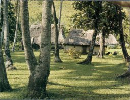 (600) Figi Carte Assez Ancienne - Older Postcard Of Fiji Island - Bure - Fiji