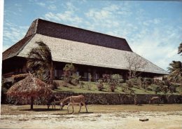 (600) Figi Carte Assez Ancienne - Older Postcard Of Fiji Island - Navity Resort & Donkey - Fidschi