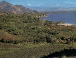 (600) Figi Carte Assez Ancienne - Older Postcard Of Fiji Island - Queen's Highway Landscape - Figi