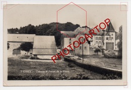 Chateau Et Ferme De La HAUTE-CINEY-BELGIQUE-BELGIEN-1939- - Ciney