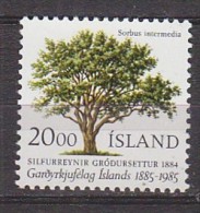 Q1309 - ISLANDE ICELAND Yv N°588 ** FLORE - Ongebruikt