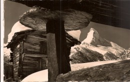 13 / 5 / 323  -IN  WINKELMATTEN  BEI  ZERMATT ,  MATTERHORN  -CPSM - Matten Bei Interlaken