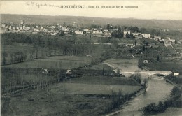 MONTREJEAU -- PONT  DU  CHEMIN  DE  FER  ET  PANORAMA - Montréjeau