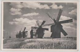 Moldova - Romania - Windmill In Bessarabia - Windmuhle - Moulin - Moldavië