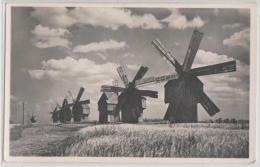 Moldova - Romania - Windmill In Bessarabia - Windmuhle - Moulin - Moldova