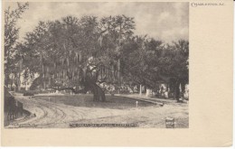 Charleston SC South Carolina, Great Oak Magnolia Cemetery, C1900s Vintage Postcard - Charleston