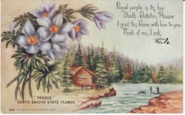 South Dakota, State Flower Pasque, Log Cabin By Lake, C1900s/10s Vintage Postcard - Autres & Non Classés