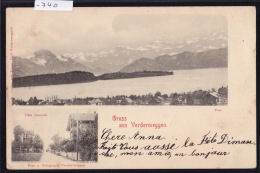 Vordermeggen (Gruss Aus ...), Total Ansicht Mit Dem Post;  Ansicht Vor Villa Danioth (-740) - Meggen