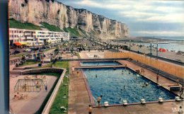 (200) Sport - Natiation - Piscine - Swimming Pool - Le Tréport - Natation