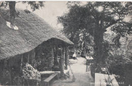 C1900 CHEPSTOW - MOSS COTTAGE - Monmouthshire