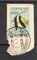 Mozambico   -   1951.  Pesce Angelo.  Per Acquario. Angelfish. Aquarium Fish - Pesci