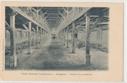 78 )) GRIGNON   Ecole Nationale D'agriculture    Galerie Des Machines   Edit De Jongh - Grignon