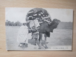 Scenes Et Types -  Un Bassour De Mariée - Enfants