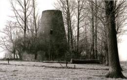 EVERBEEK Bij Brakel (O.Vl.) - Molen/moulin - Maxikaart Van De Romp Van De Kapellekoutermolen In 1984. - Brakel