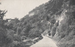 C1900 CHEPSTOW - THE WYNDCLIFF FROM TINTERN ROAD - Monmouthshire