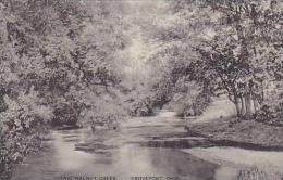 Ohio Groveport Scenic Walnut Creek-Albertype - Other & Unclassified