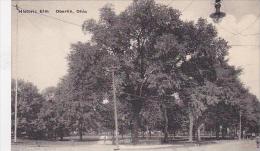 Ohio Oberlin Historic Elm-Albertype - Other & Unclassified