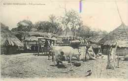 Mai13 1312 :  Guinée Portugaise  -  Village Foulacoun - Guinea Bissau