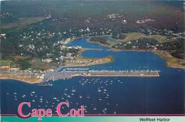 CPSM Cape Cod    L1308 - Cape Cod