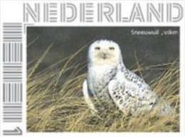 Nederland  2013   Uilen 19 Sneewuil   Postfris/mnh/neuf - Neufs