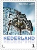 Nederland  2013   Uilen 18 Ruigpootuil  Postfris/mnh/neuf - Unused Stamps