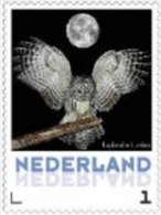 Nederland  2013   Uilen 16  Laplanduil Bij Maan   Postfris/mnh/neuf - Nuevos