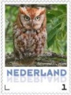Nederland  2013   Uilen 15  Schreeuwuil  Postfris/mnh/neuf - Unused Stamps