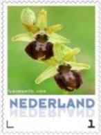 Nederland  2013   Orchideen 4 Spinnenorchis Postfris/mnh/neuf - Nuevos