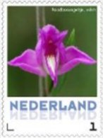 Nederland  2013   Orchidee 3  Roodbosvogeltje Postfris/mnh/neuf - Unused Stamps