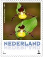 Nederland  2013   Orchideen 2   Vrouwenschoentje Postfris/mnh/neuf - Nuovi