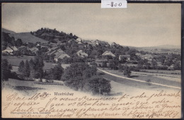 Montricher (Vaud) : Vue D'ensemble Du Village Vers 1904 (-800) - Montricher