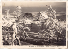 ALTENBERG Im OSTERZGEBIRGE : BERGHOF RAUPENNEST - REAL PHOTOGRAPH ~ 1938 / SPECIAL SKI CANCELLATION ! (o-023) - Altenberg