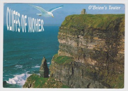 CLIFFS OF MOHER - CLARE - Clare
