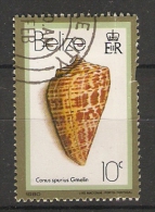 Belize  1980  Shells  10c  (o) - Belize (1973-...)