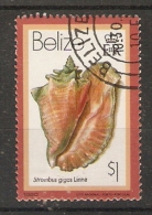 Belize  1980  Shells  $1  (o) - Belize (1973-...)