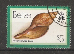 Belize  1980  Shells  $5  (o) - Belize (1973-...)