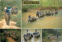 CPSM Thailande-Elephant Show And Jungle Tour     L1309 - Thaïlande