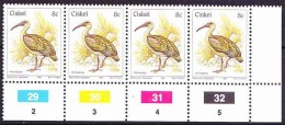 Ciskei - 1981 - First 1st Definitive Birds - 8c Hadada Ibis - Strip Of 4 - Ciskei