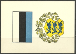 Estland Estonia Estonie In Exil 1966 Coat Of Arms Flag Of Estonia Pfadfinder Boy Scouts Scouting Special Card Unused - Covers & Documents