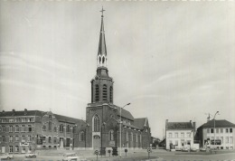 Beringen :  Markt    (  Groot Formaat ) - Andere & Zonder Classificatie